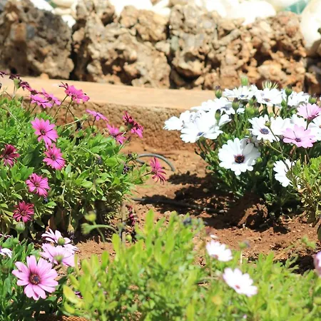 Maria's Garden