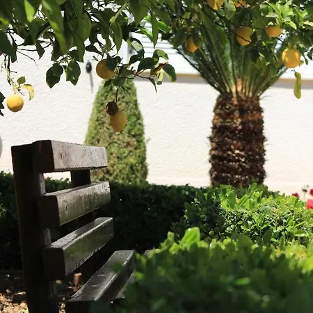 Maria's Garden